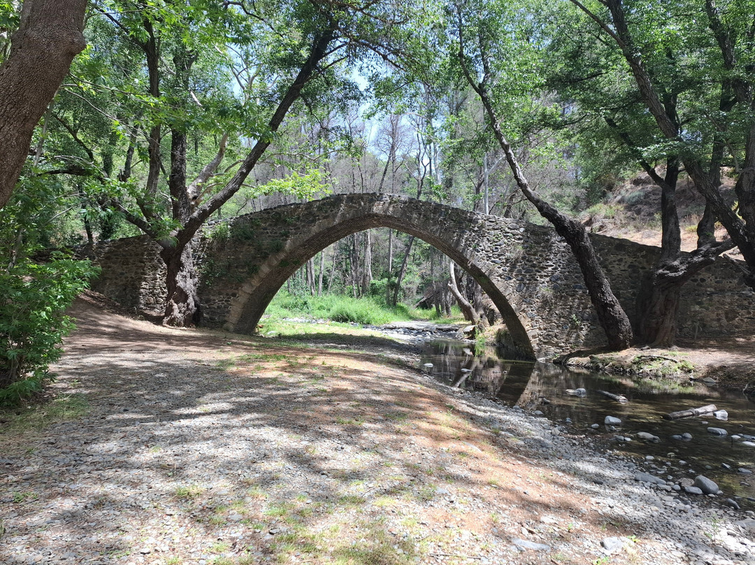 Cyprus Sunshine Safari Tours-Tala必去景点