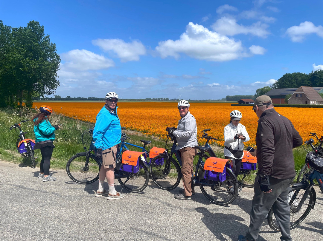 Yubike Tours-阿姆斯特丹必去景点