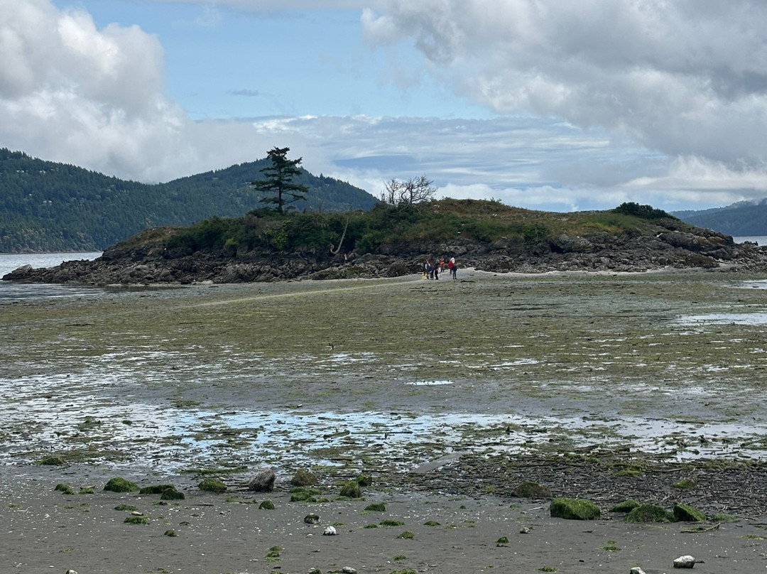 Landmark Orcas Island主图