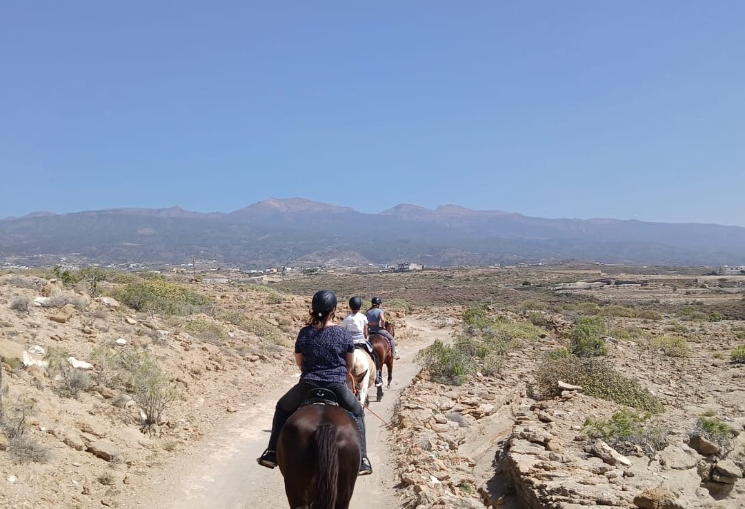 Rancho Bonanza景点图片