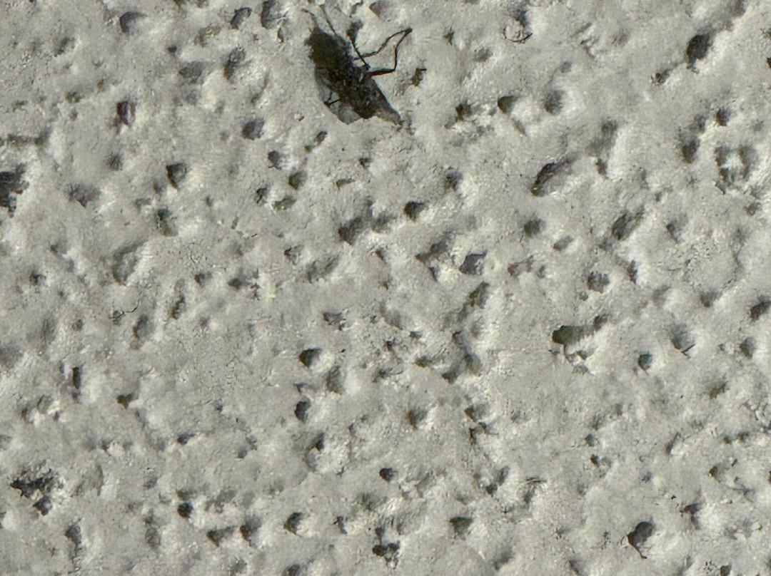 Candlewood Suites Washington-Fairfax by IHG主图