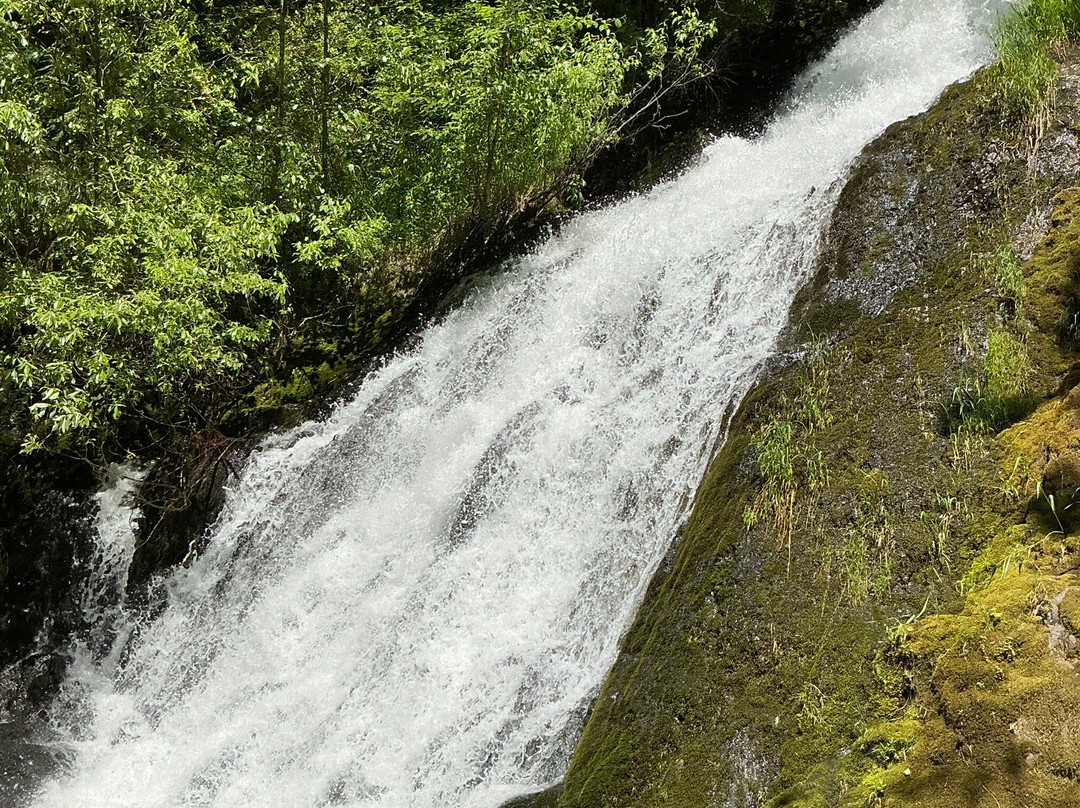 Alsea Falls Recreation Site-Alsea必去景点