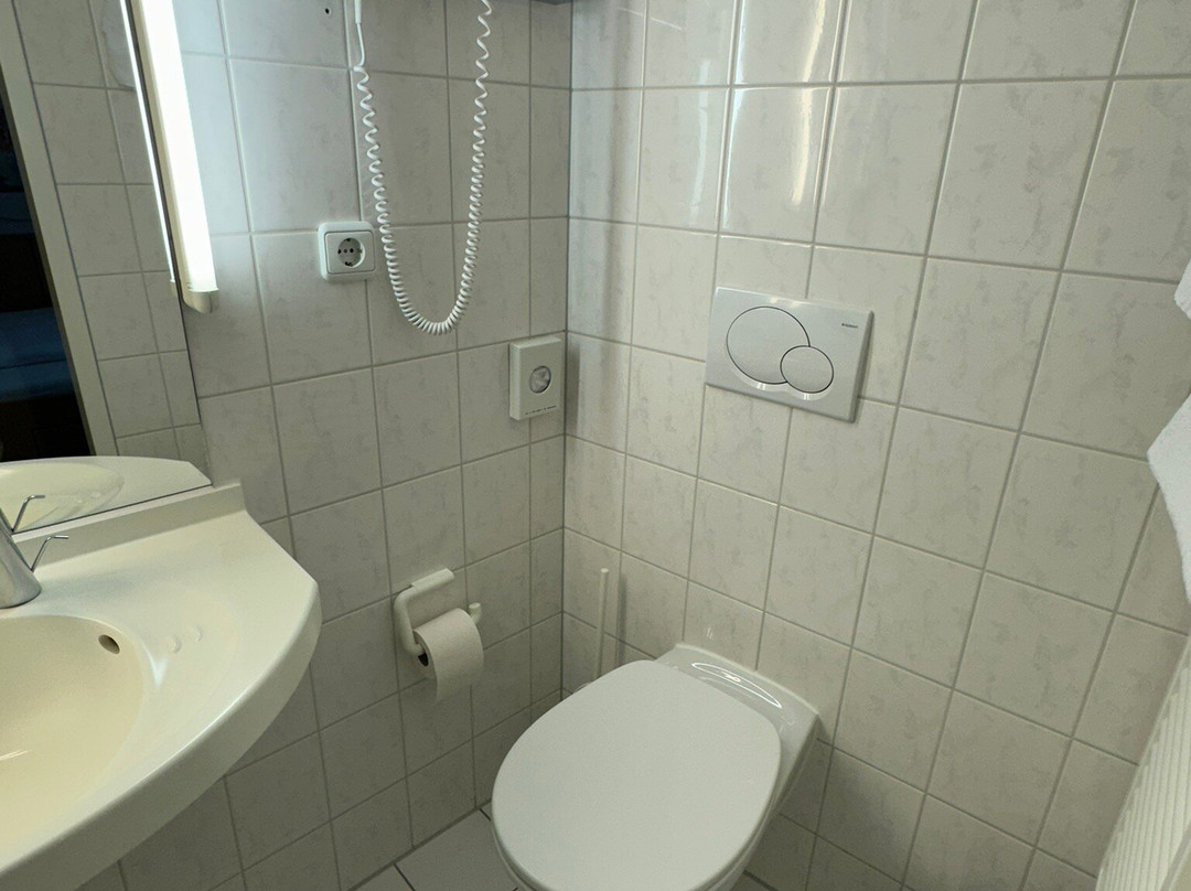 Hotel Berliner Hof主图