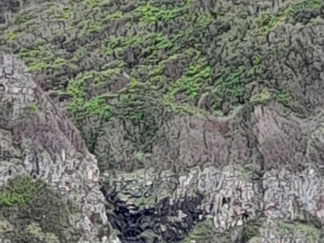 Baia do Raposo-波尔图镇必去景点