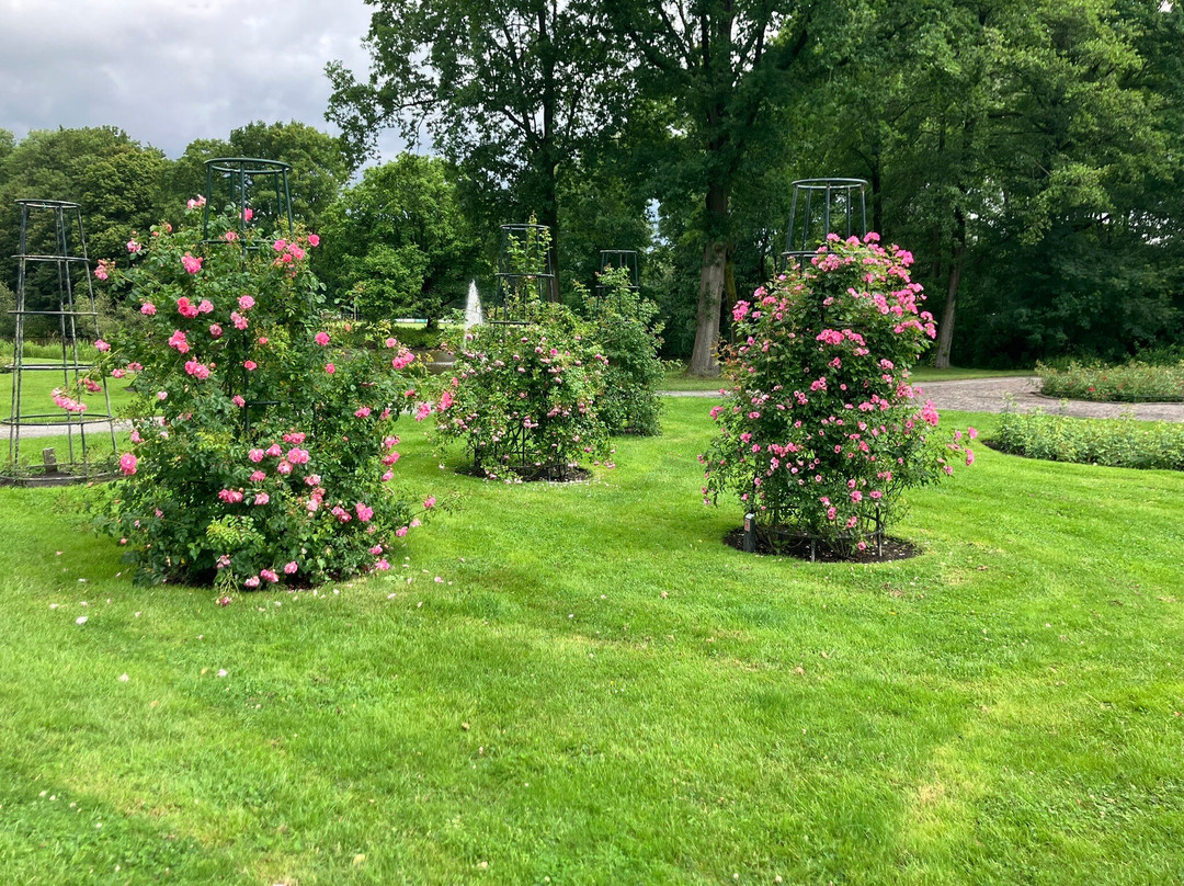 Rosarium Winschoten-Winschoten必去景点