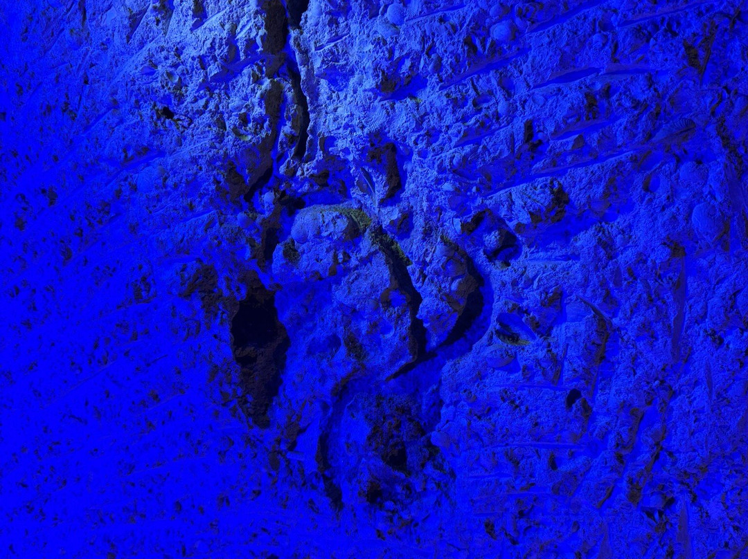 Kariz-e-Kish景点图片