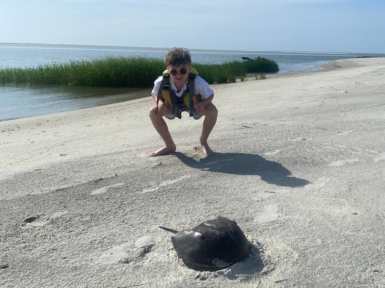 Sea Kayak Georgia-泰碧岛必去景点