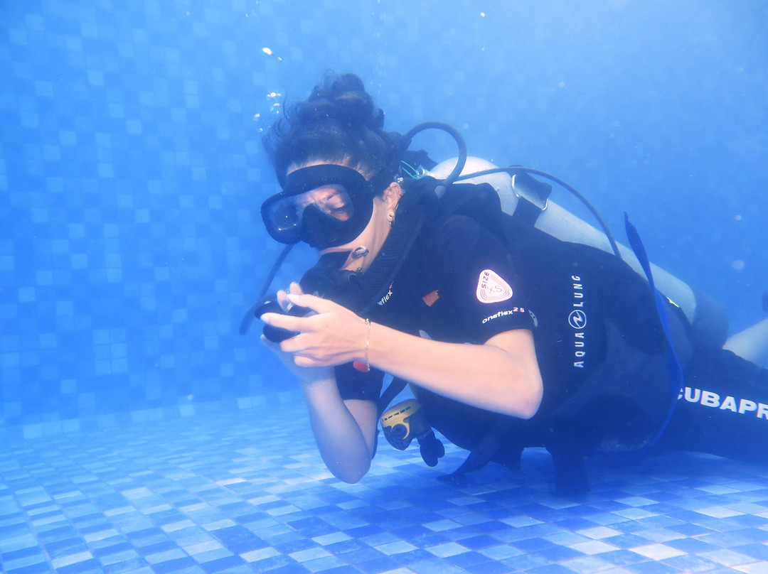 DSM Dive - Gili Trawangan景点图片