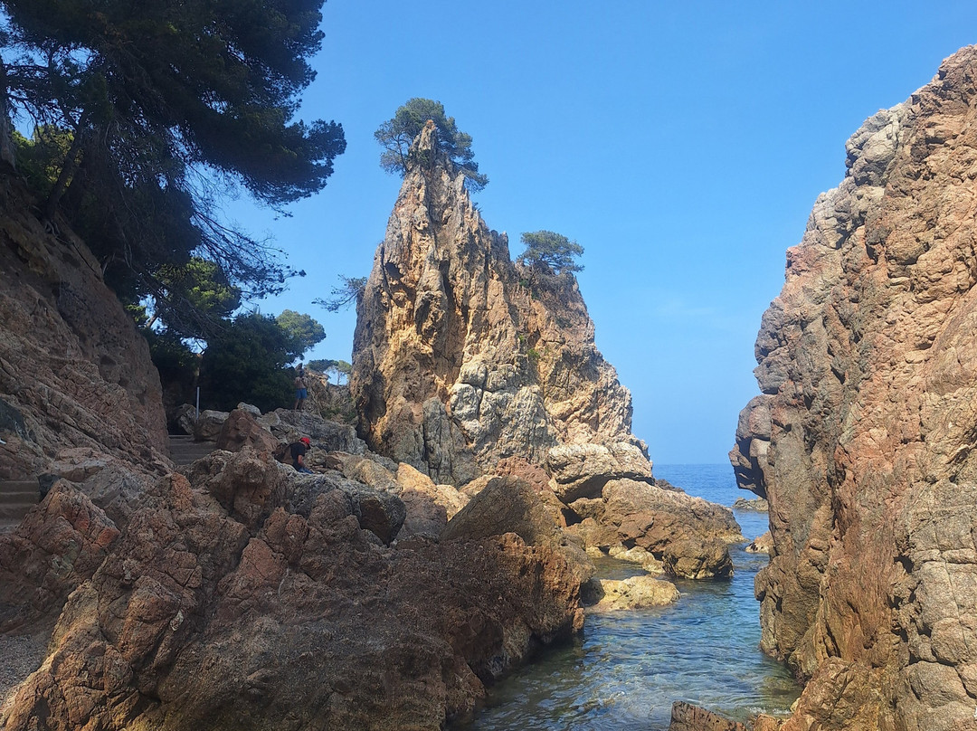 Cala El Golfet景点图片