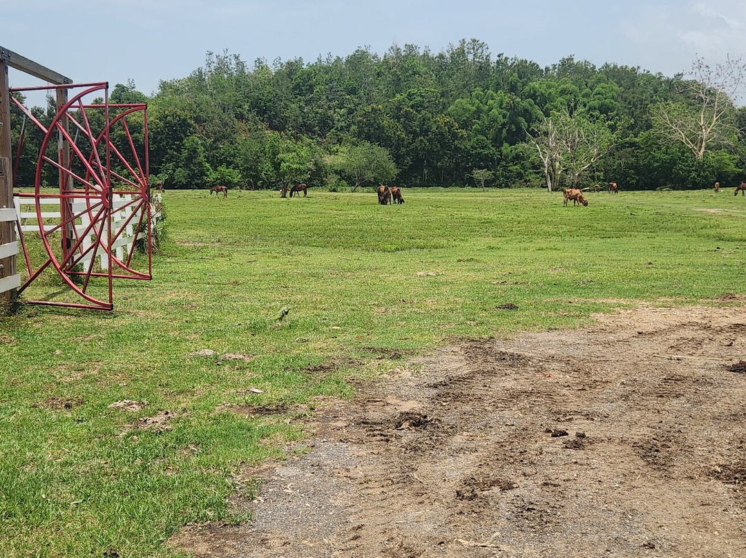 Piramide de Aguada-Aguada必去景点