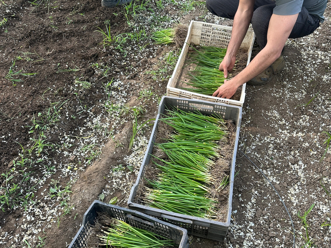 Hoasi Farm-Curacavi必去景点