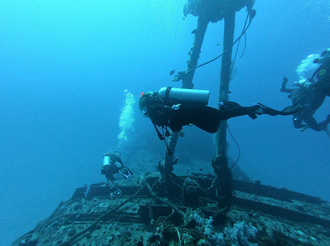 Dodo Divers Mauritius-卡罗迪勒必去景点
