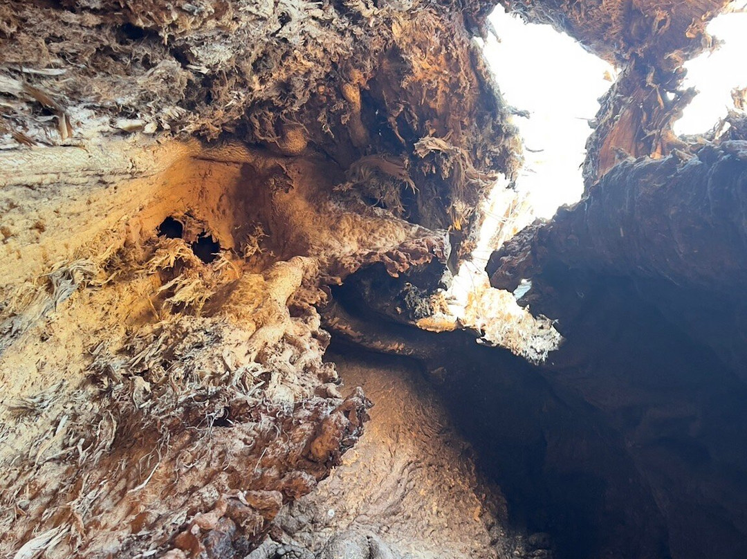 Impalila Island-Katima Mulilo必去景点