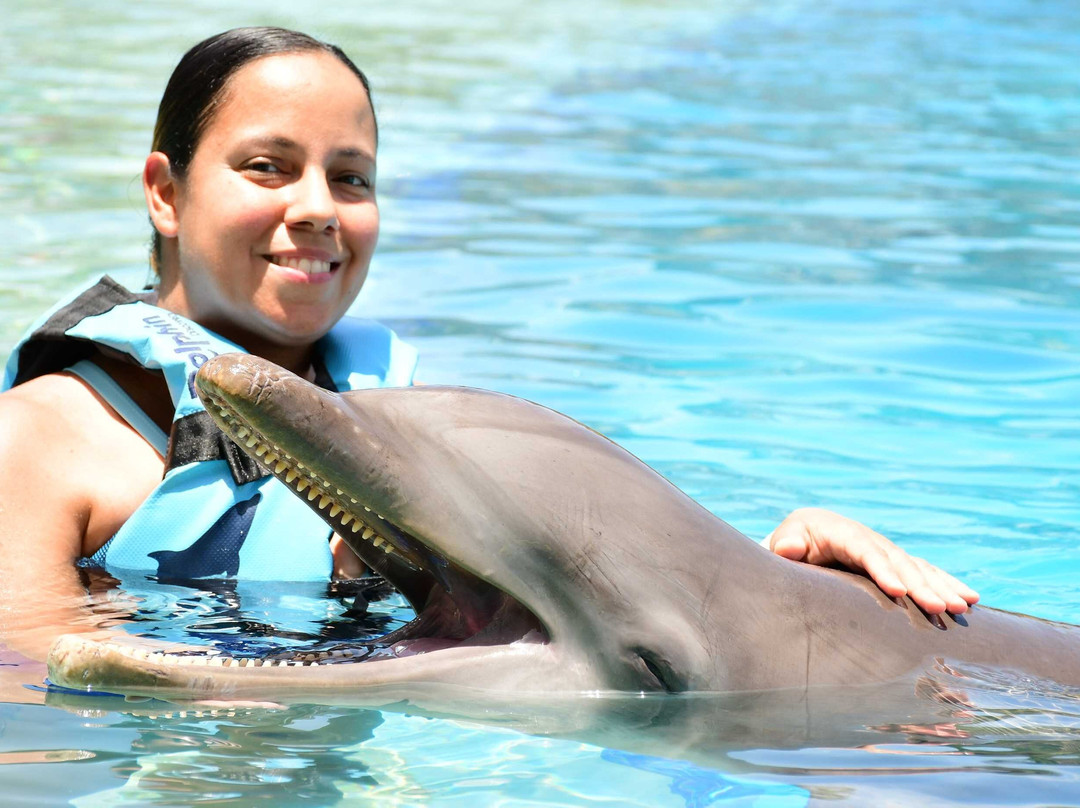 Dolphin Discovery Playa Del Carmen-普拉亚德尔卡曼必去景点
