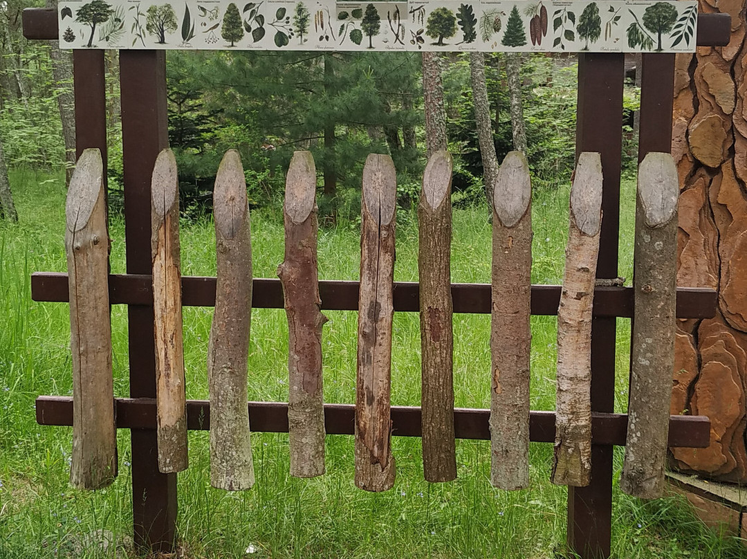 Curonian Spit Museum-Lesnoy必去景点