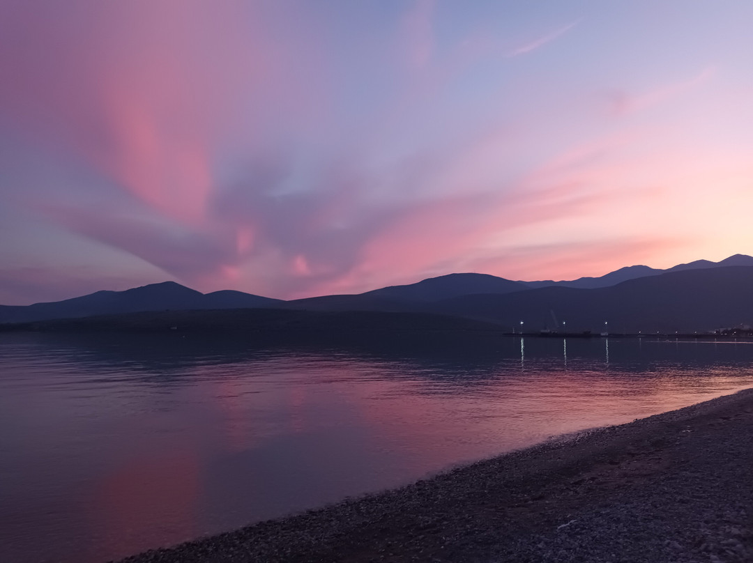 Alexandra Fresh Fish