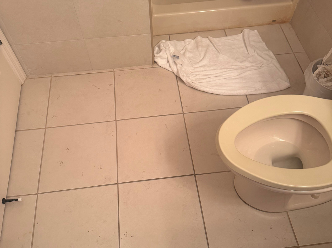 Bimini Cove Resort & Marina主图