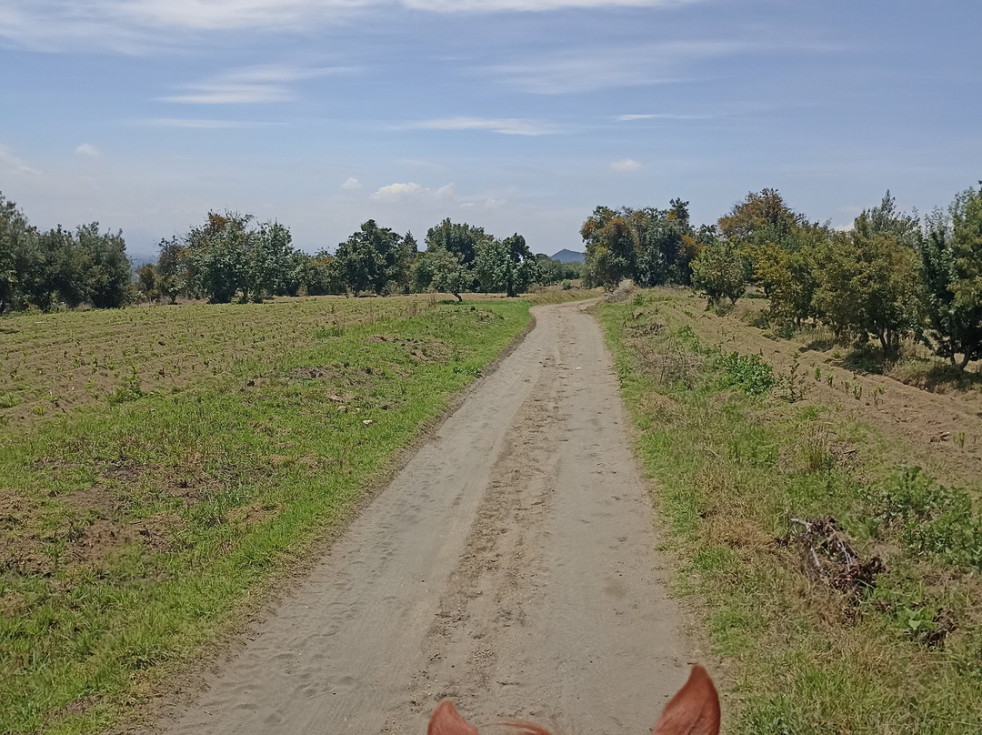 Cabalgatas Puebla-San Andres Calpan必去景点