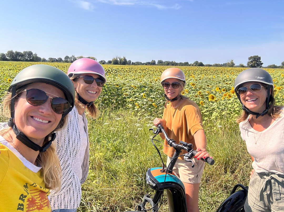 O Coeur des Vignes-Coteaux-sur-Loire必去景点