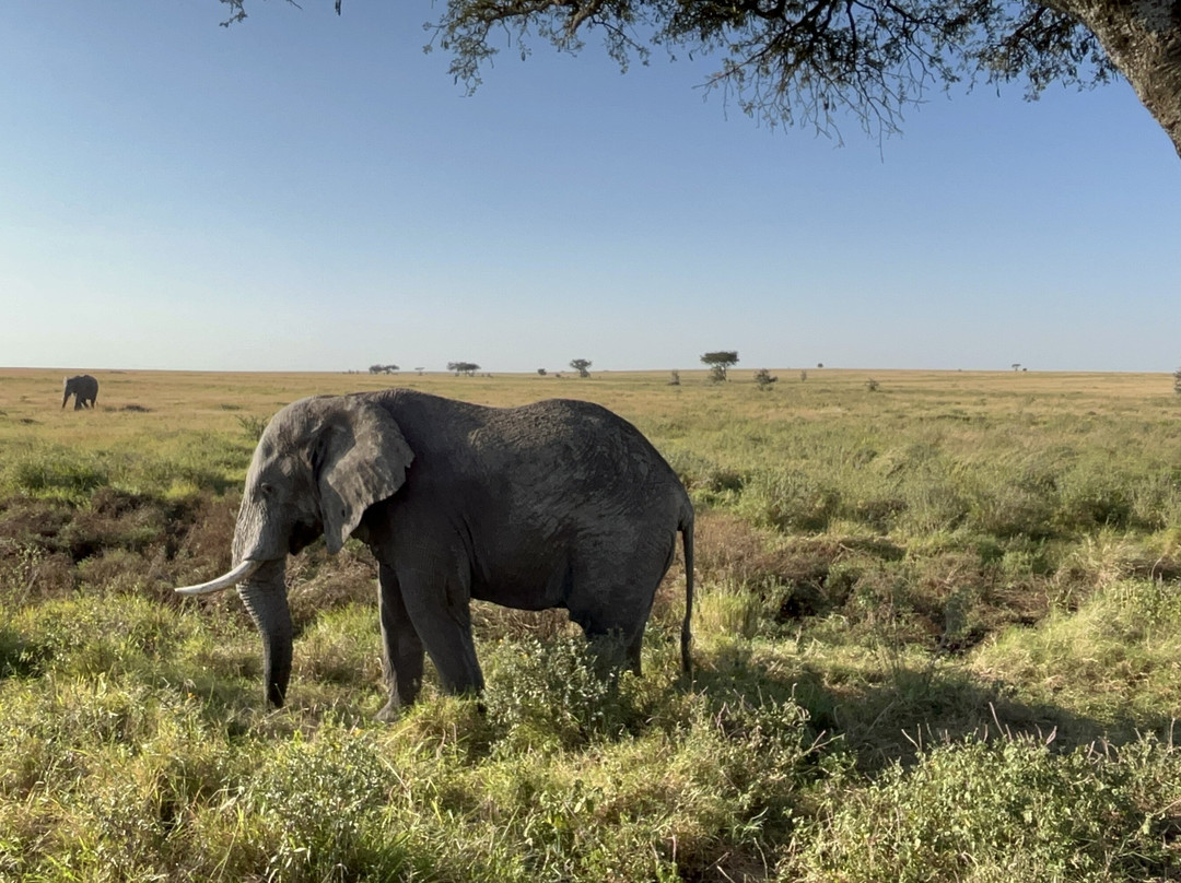 PROCEEDING ADVENTURES LIMITED-Marangu必去景点