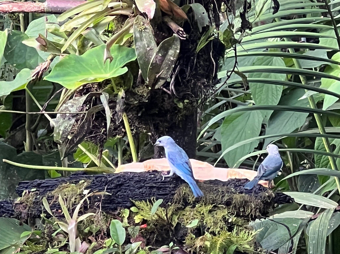 Latin Trails-基多必去景点