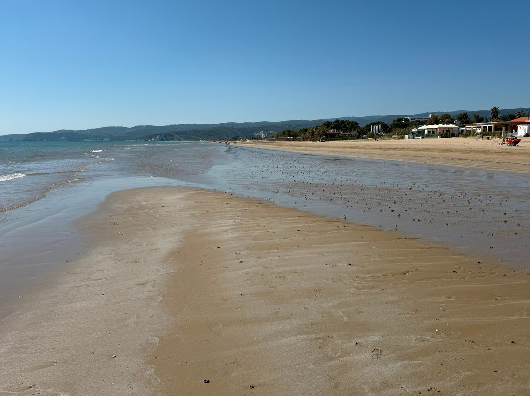 Spiaggia del Pizzomunno-维耶斯泰必去景点