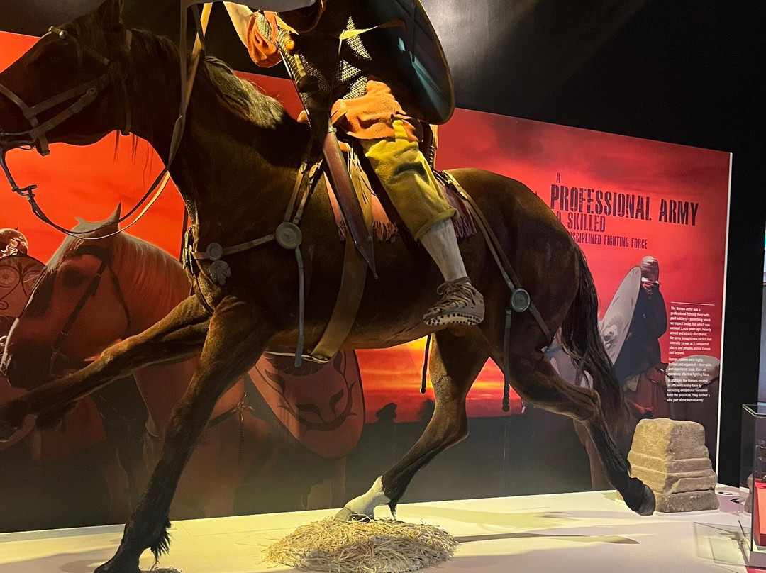 Roman Army Museum-赫克瑟姆必去景点