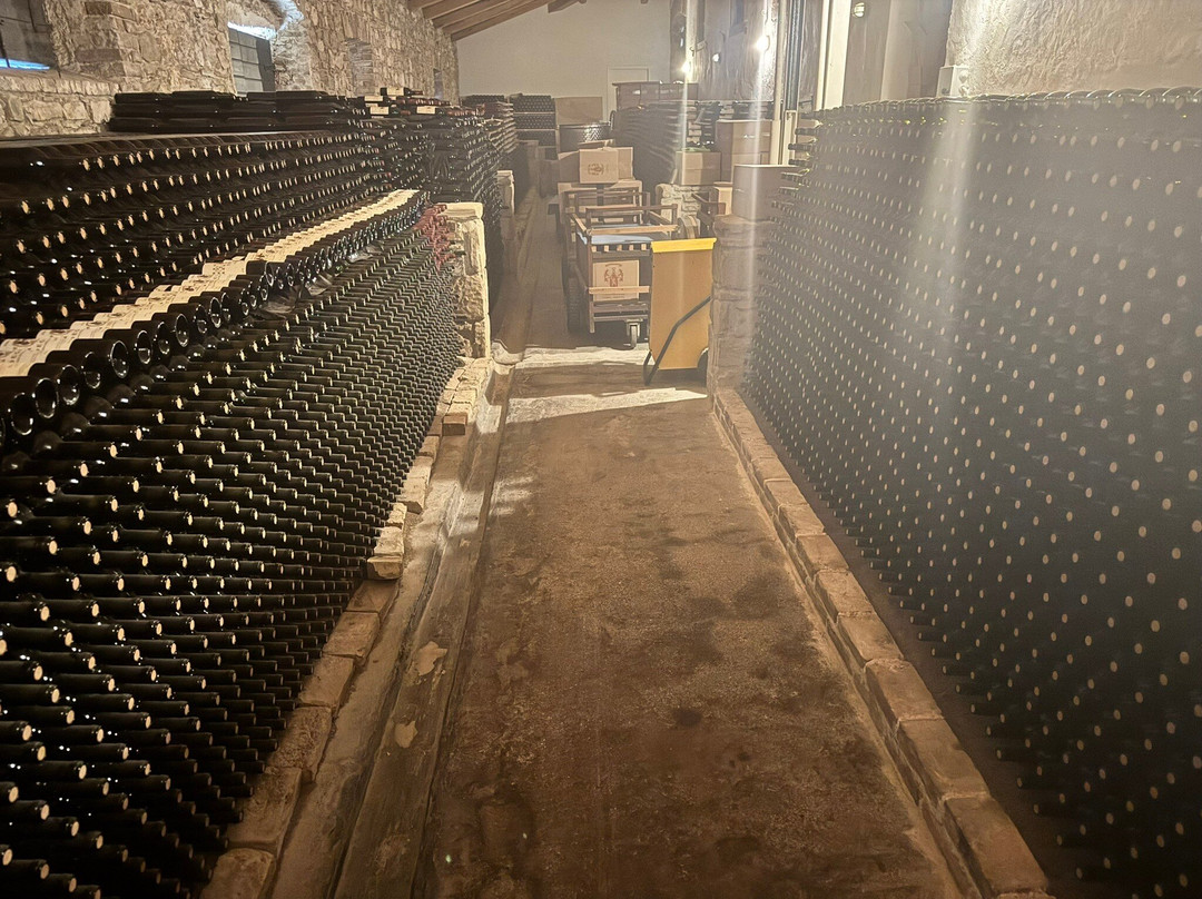 Theotoky Estate-科孚必去景点