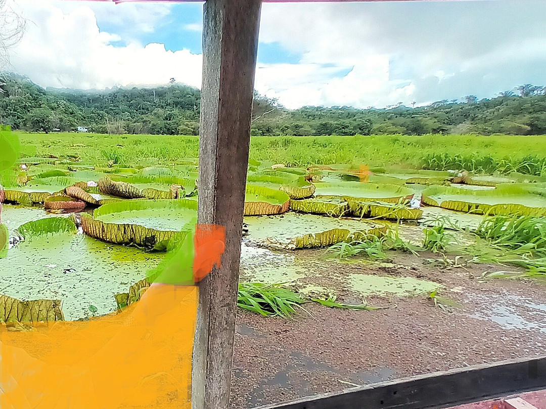 Boca de Valeria  Village-Ilha de Tinhare必去景点