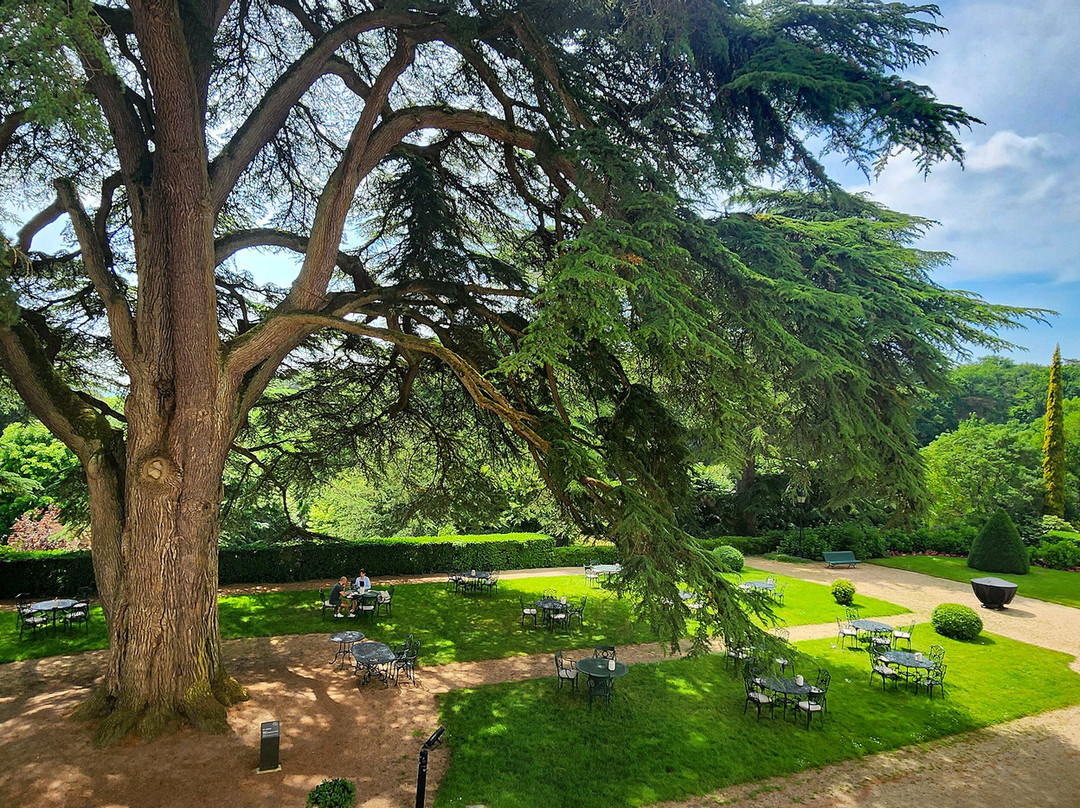 罗切科特城堡酒店主图