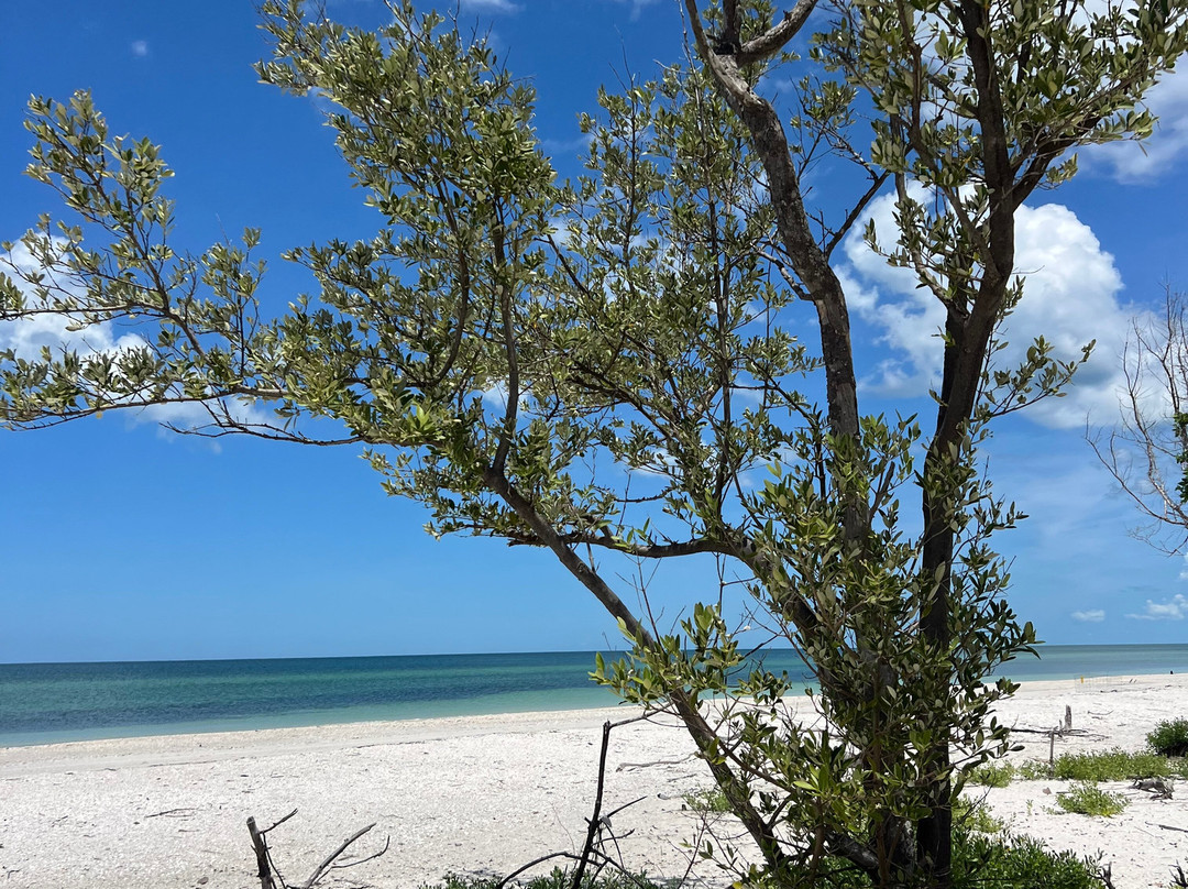 Naples Water Tours-那不勒斯必去景点