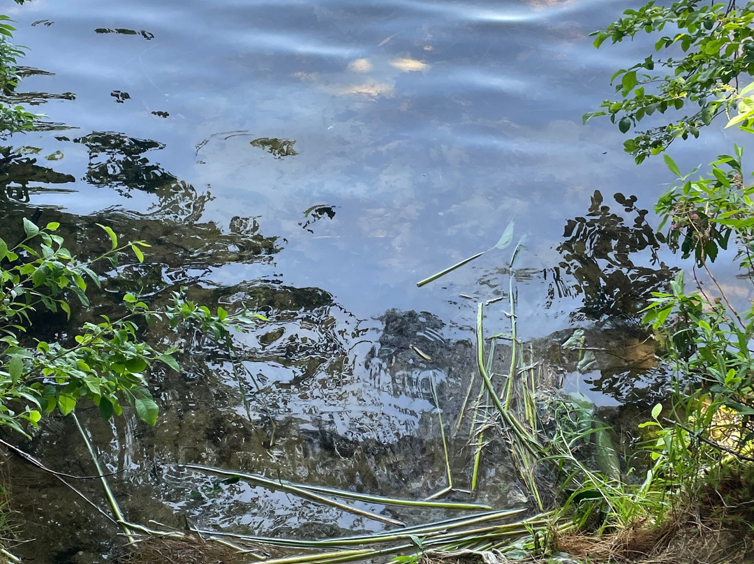 Range Ponds State park-Poland Springs必去景点