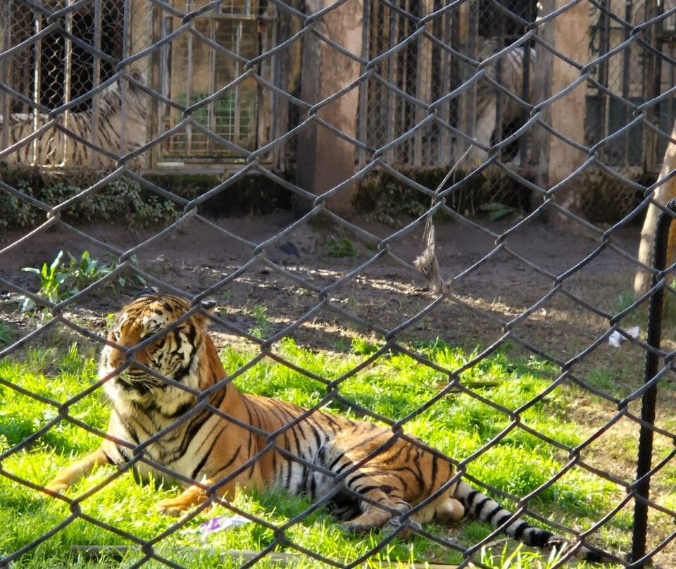 Buin Zoo-Buin必去景点