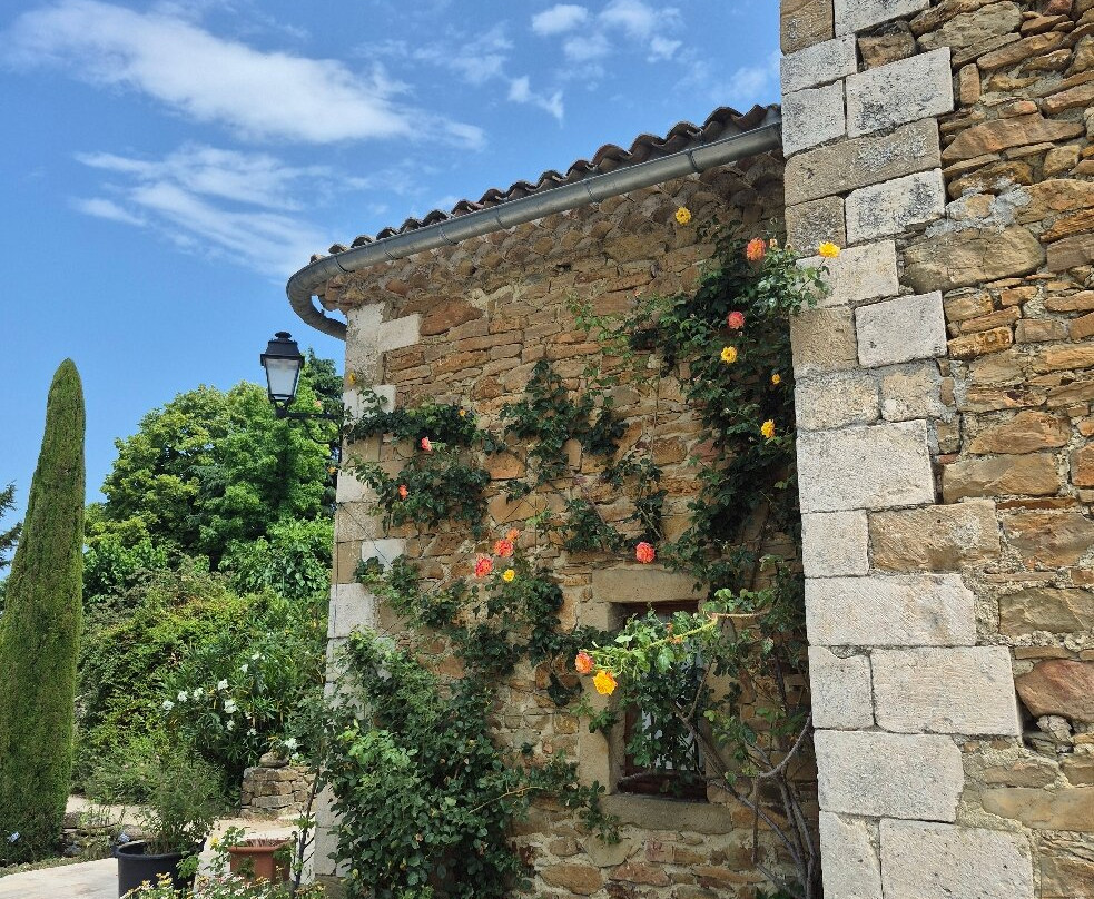 Jardin de l'Abbaye de Valsaintes-西米昂拉-罗通德必去景点