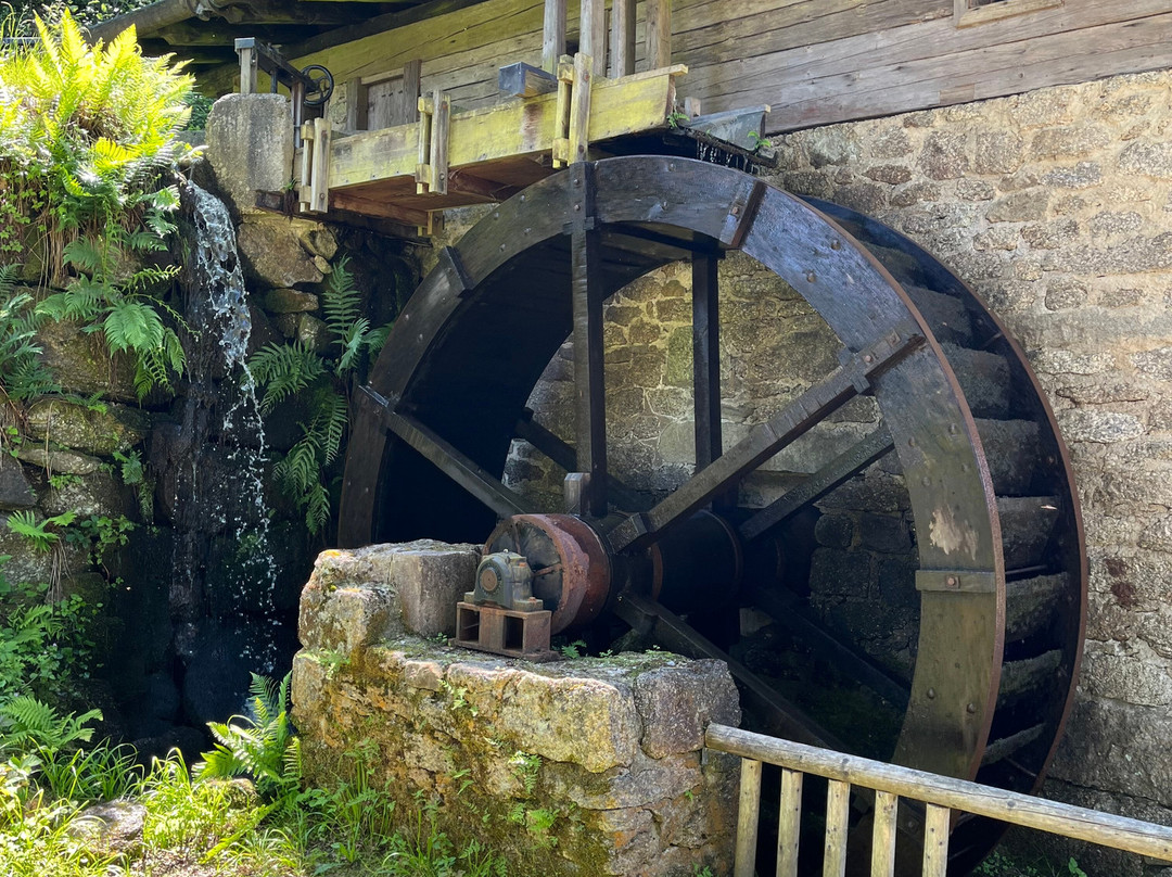 Museumsdorf Bayerischer Wald-Tittling必去景点
