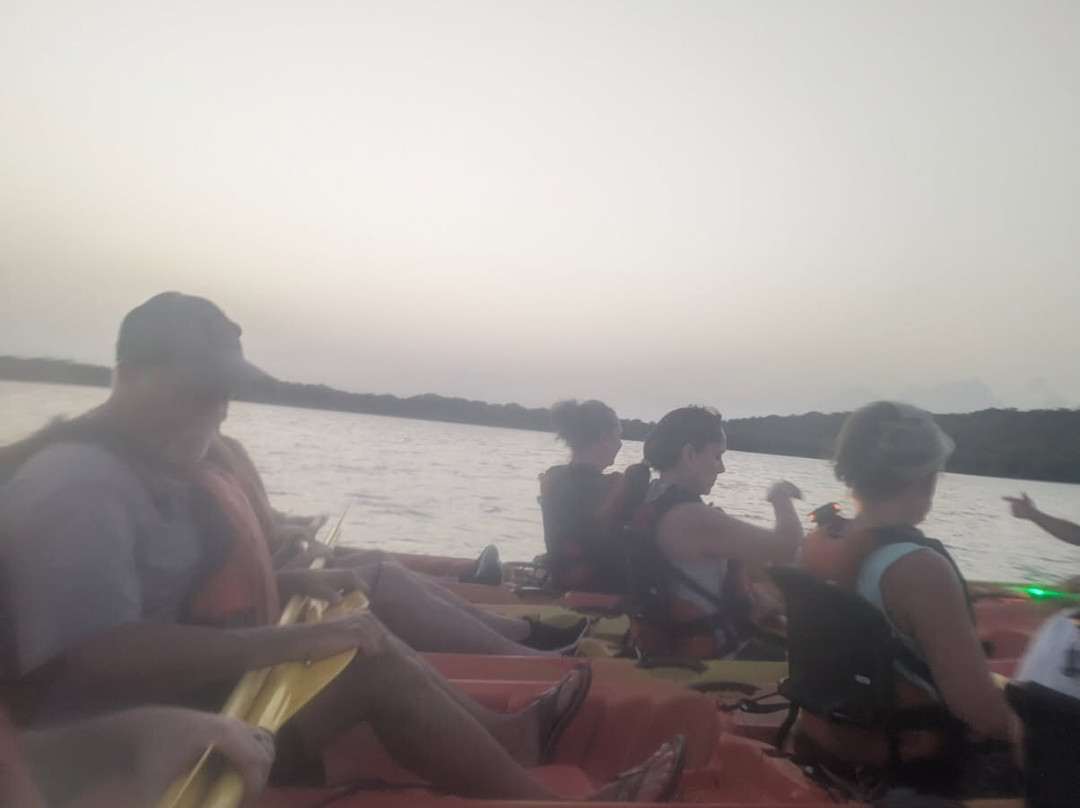 Puerto Rico Bio Bay Tours LLC-法哈多必去景点