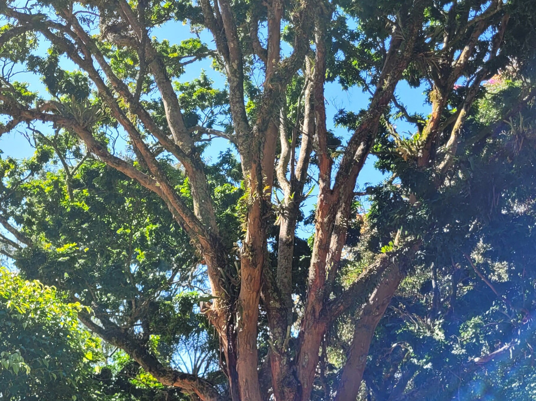 Hotel Metrópole主图