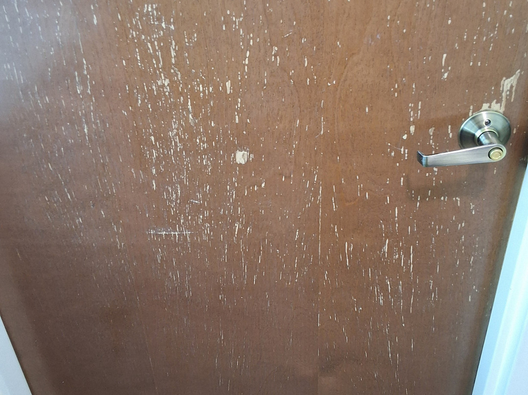 Comfort Suites at Isle of Palms Connector主图