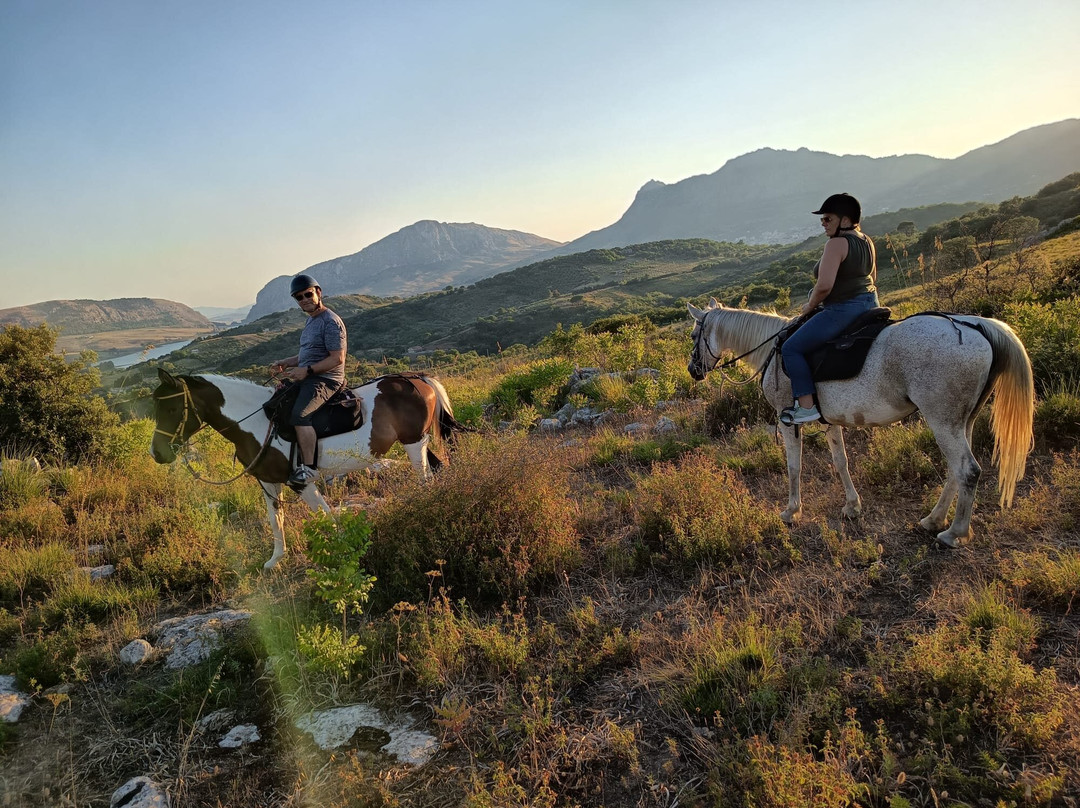 Horse Trekking Sicily-Marineo必去景点