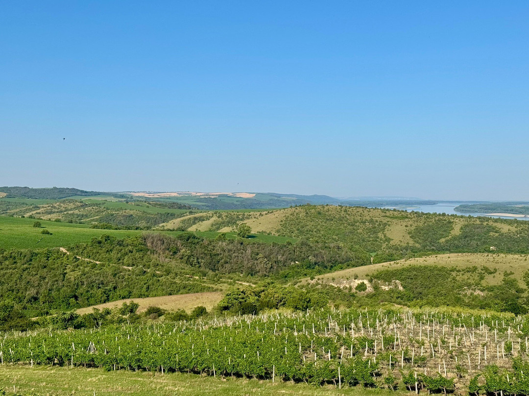 Seven Generations Winery Resort主图