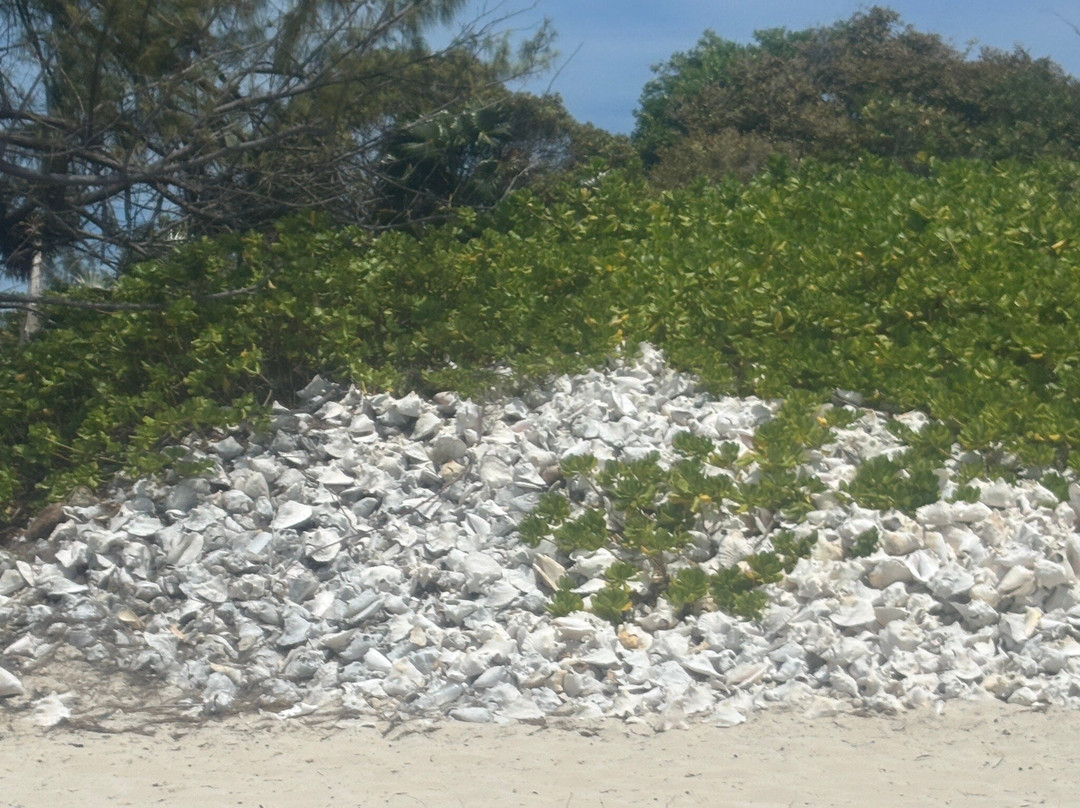 Long Bay Beach-普罗维登西亚莱斯必去景点