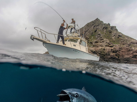 Catch Sportfishing-拉荷亚必去景点