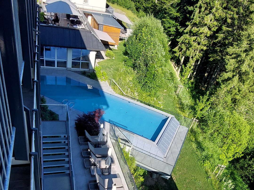 Belchenhotel Jaegerstueble主图