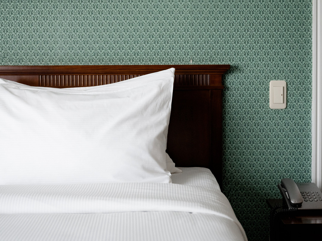 Stepnaya Palmira主图