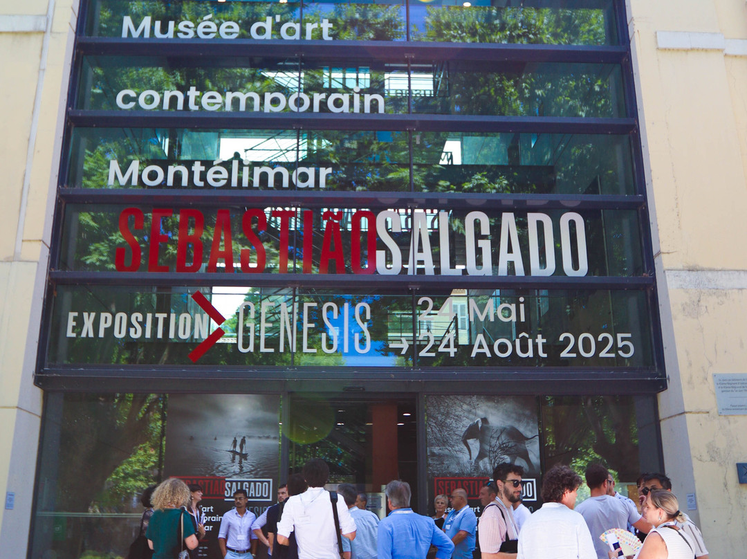 Musee D'art Contemporain-蒙特利玛必去景点
