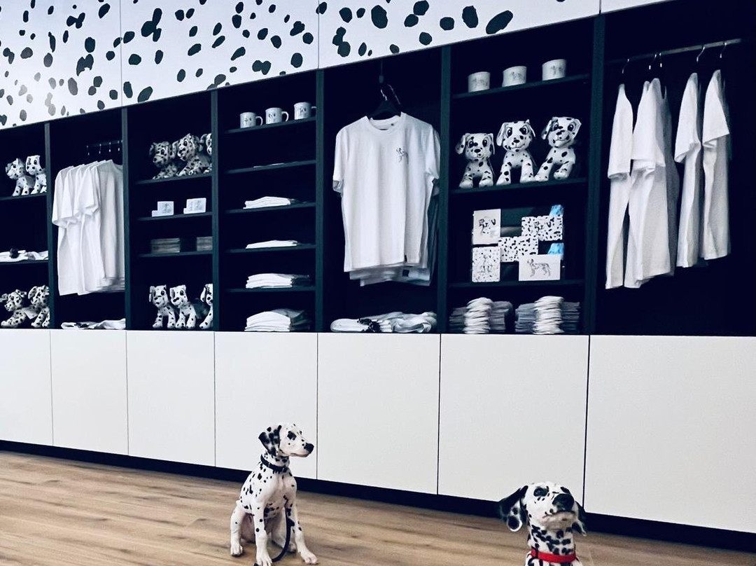 Home Of The Dalmatian Dog-希贝尼克必去景点