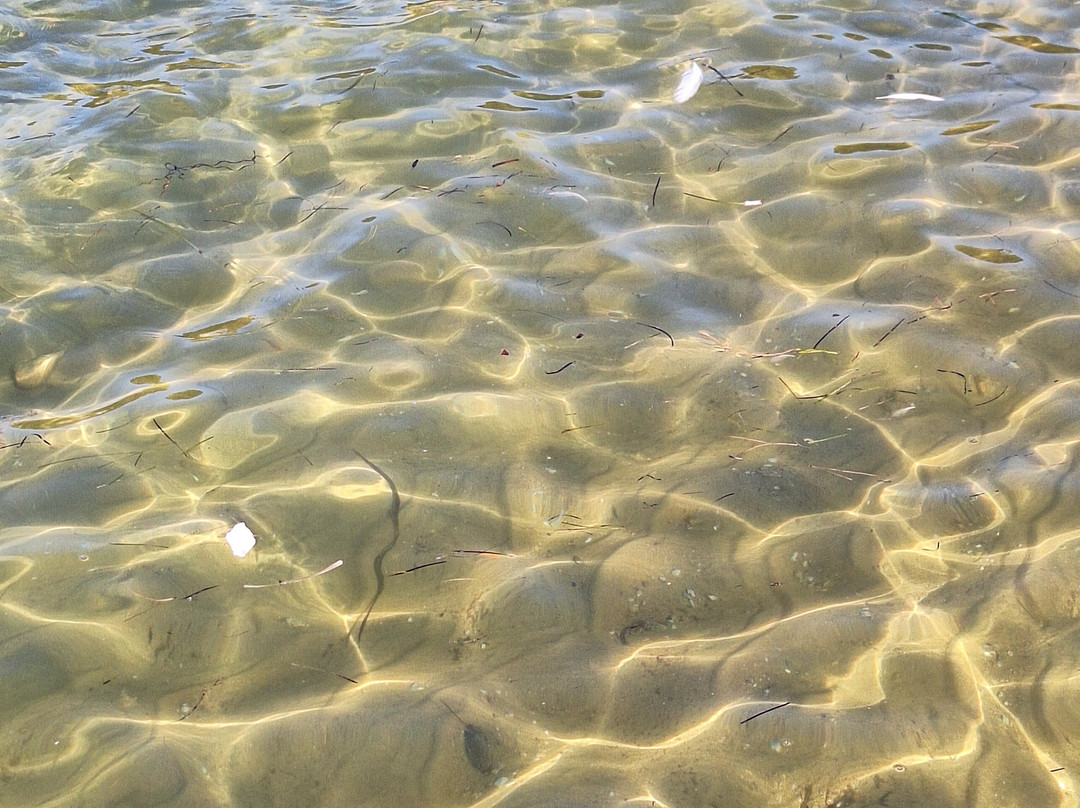 Kanapitsa Beach-Kanapitsa必去景点