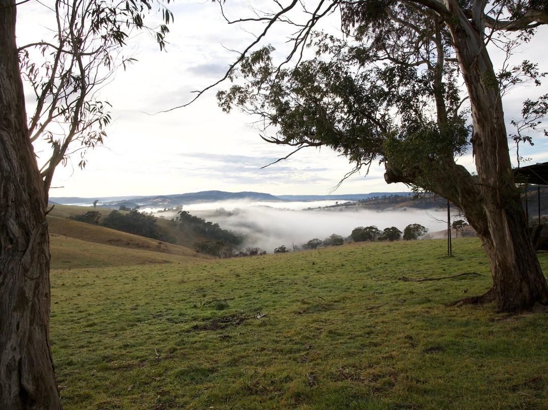 Springmead B&B主图