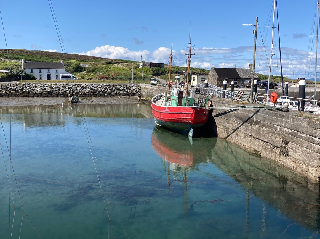 Whale Watch West Cork-Baltimore必去景点