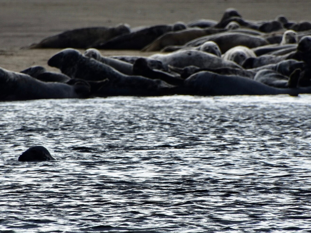 Phoca Tours-Saint-Louis-de-Kent必去景点